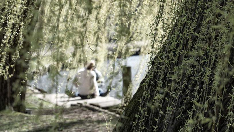 Par ved Odense Å bag træ