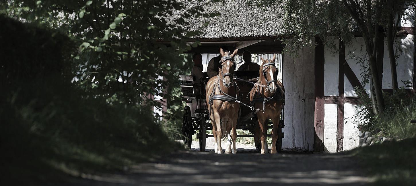 Den fynske landsby hestevogn