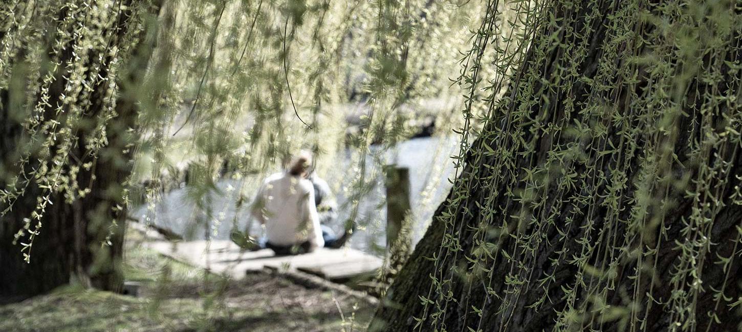 Par ved Odense Å bag træ