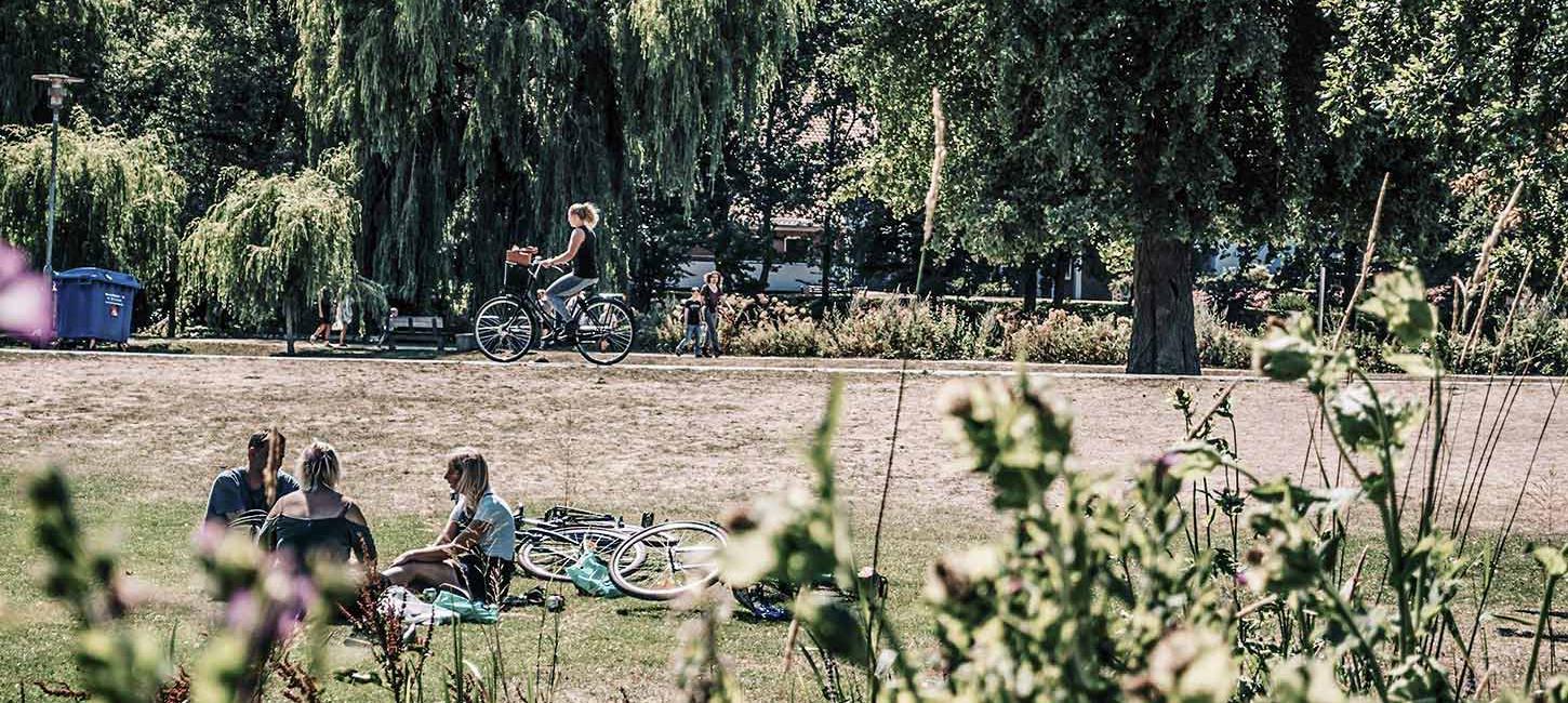 Afslapning i parken