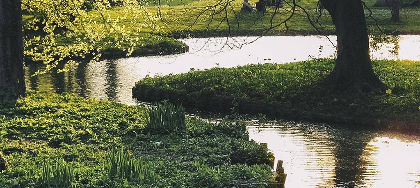 Forår ved Odense Å