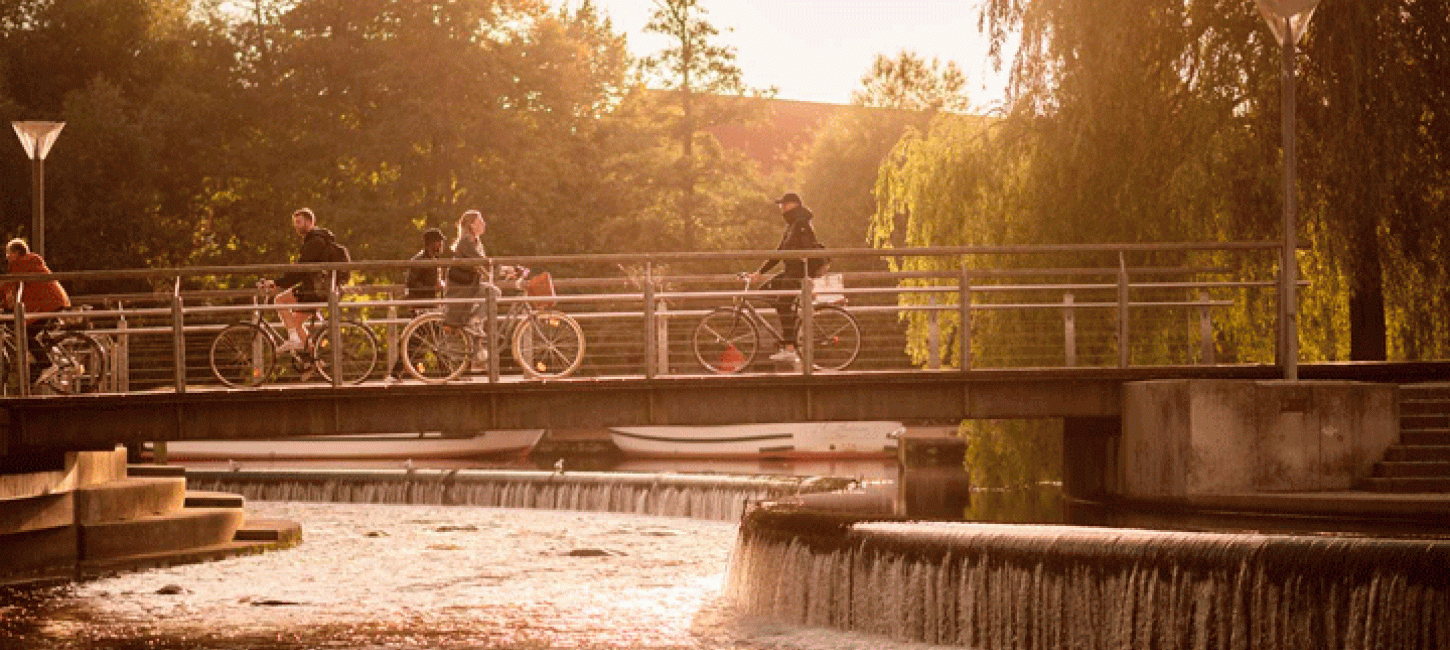 Cykelister cykler over bro