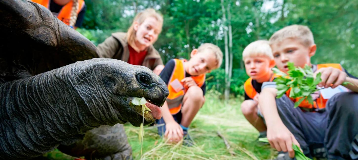 Odense ZOO skole