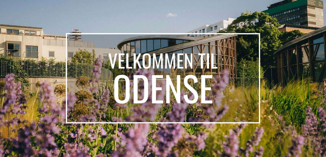velkommen til Odense