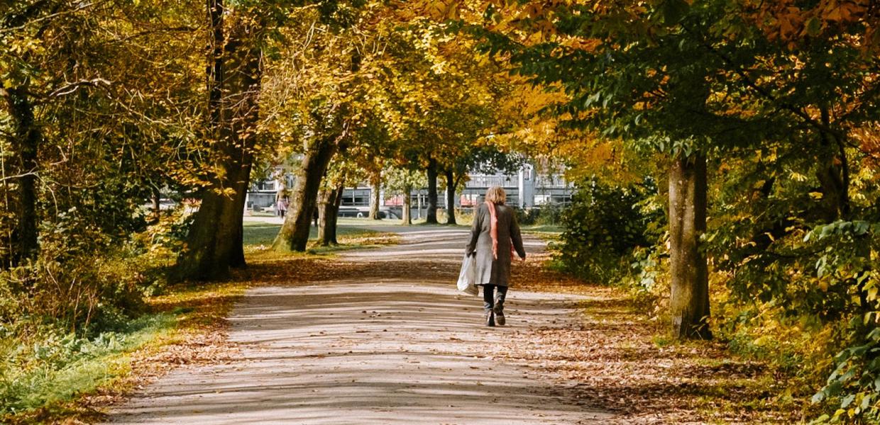 Dame på efterårssti i park