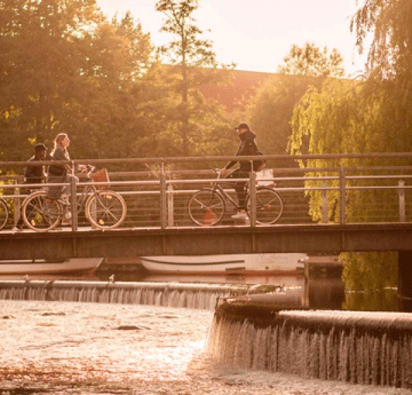 Cykelister cykler over bro