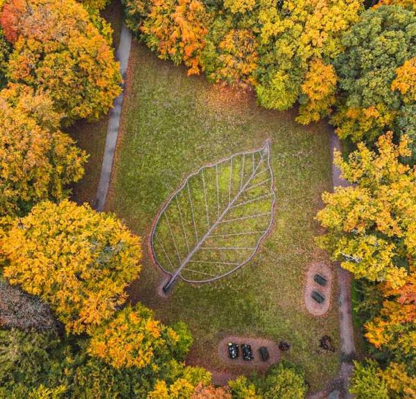 drone efteraarsbillede af bladet i fruens boege