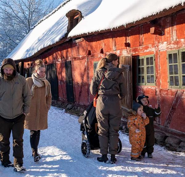 Vinter i Den Fynske Landsby