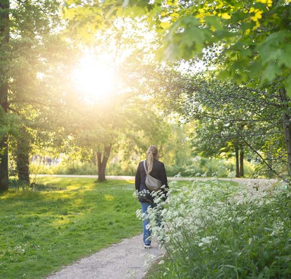 Forårsgåtur i det grønne