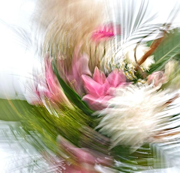 hca forever blomster