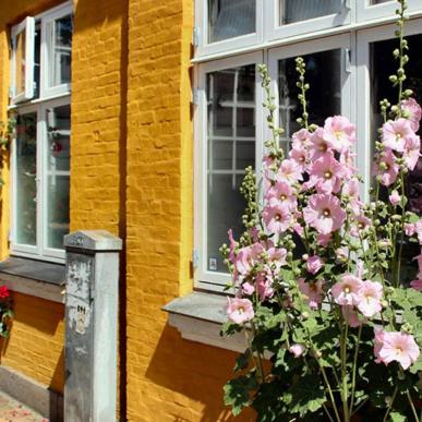 Pias B&B i Odense centrum