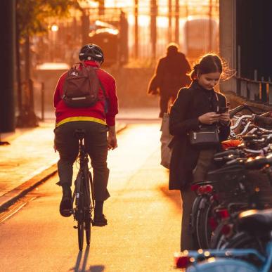 cyklist i modlys efterår