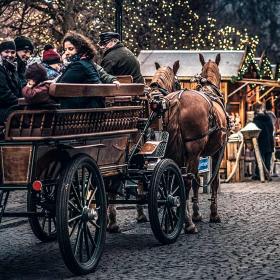 Hestevogn på julemarkedet
