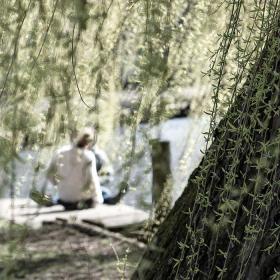 Par ved Odense Å bag træ