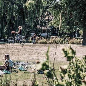 Afslapning i parken