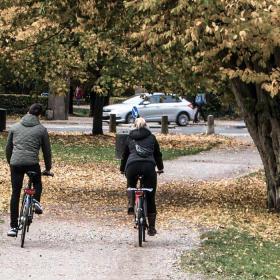 To cyklister på parksti efterår