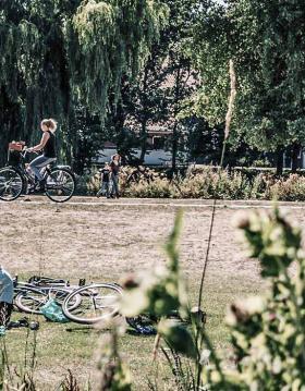Afslapning i parken