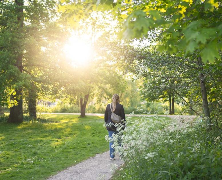 Forårsgåtur i det grønne