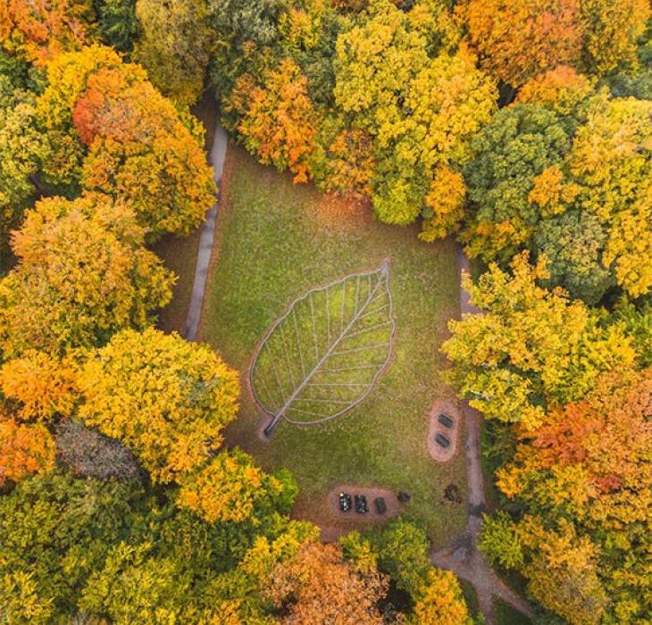 drone blad efteraar højformat