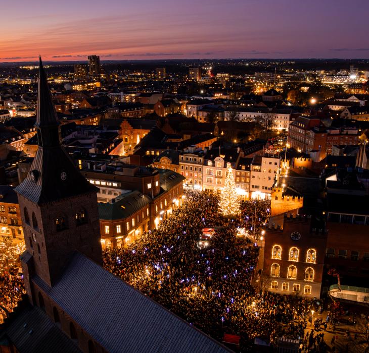 juletræet tændes på Flakhaven med solnedgang