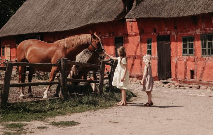 To piger i den Fynske Landsby klapper hestene